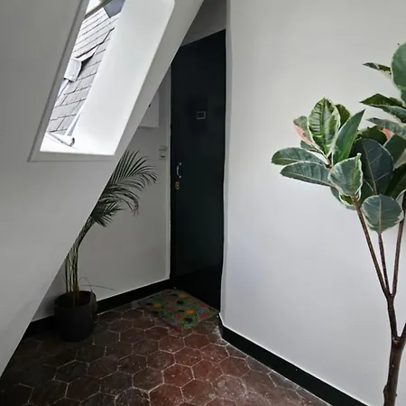 Renove Parisien En Plein Coeur De L'ile Saint-louis Juste En Face De Notre-dame ! Appartement